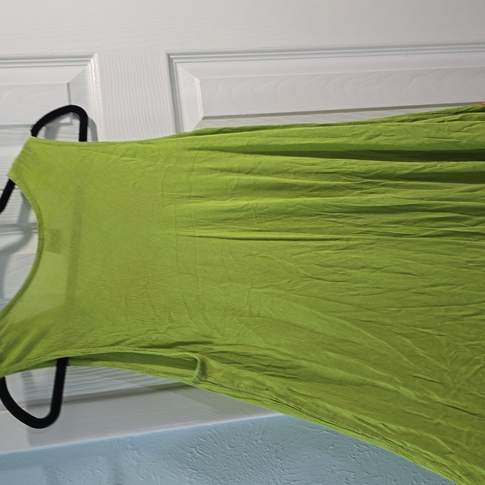 Piel Green Sleeveless Dress with Floral Embroidery - Picture 13 of 13